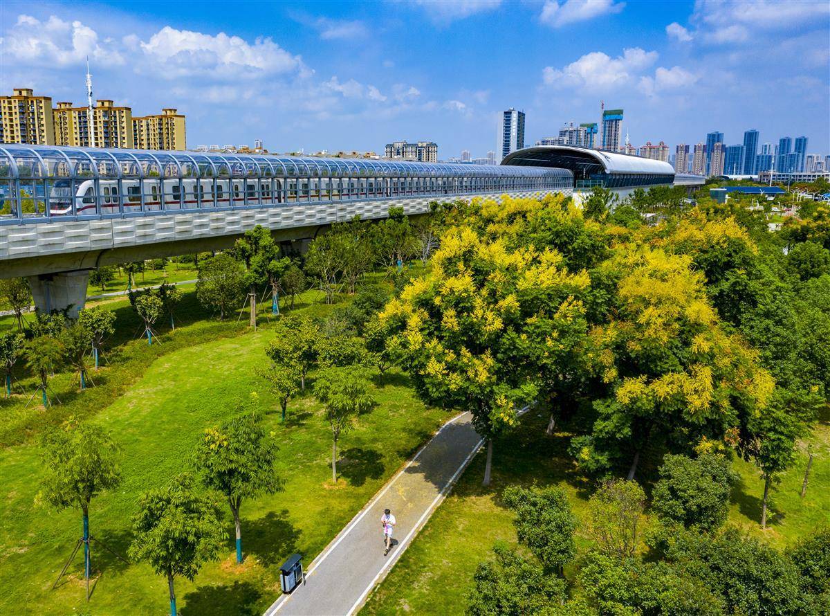奔驰宝马游戏网址